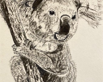 Charcoal koala