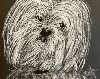 Small dog, bichon, handmade, unique work