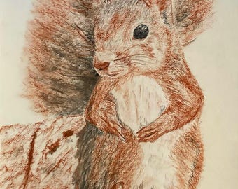 Squirrel in red chalk, unique work, handmade