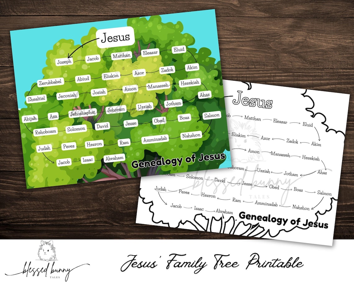 Genealogy of Jesus- Jesus Family Tree- New Testament Map- Bible Insert ...