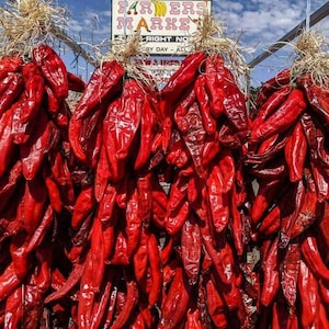 24" Red Chile Ristra