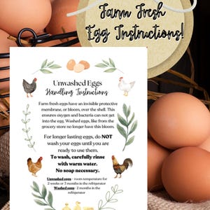 INSTANT DOWNLOAD Egg CARDS | Handling Instruction| Farm Fresh Eggs | washed and unwashed eggs | egg carton tag| cute chicks/chickens