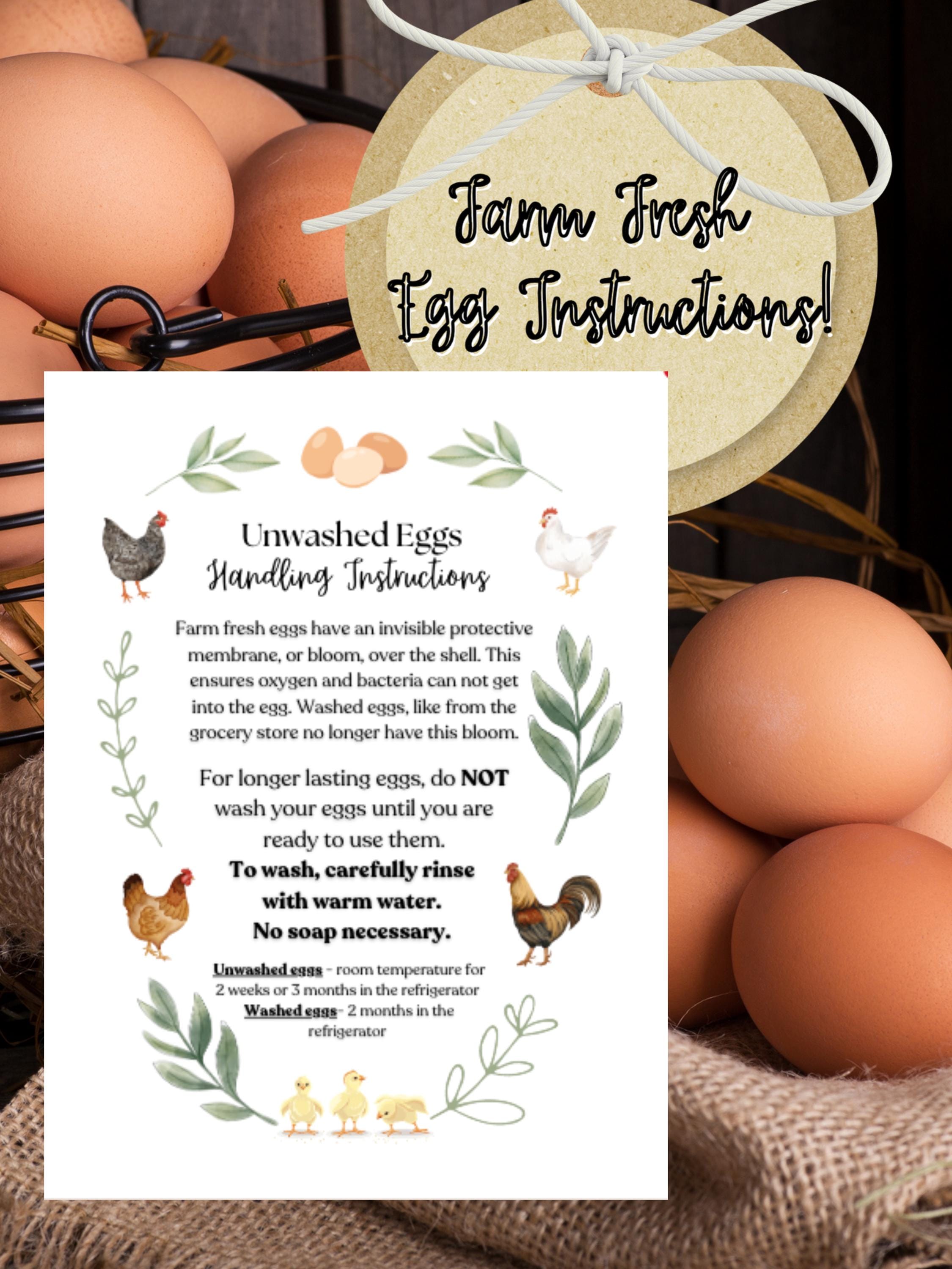 INSTANT DOWNLOAD Egg CARDS | Handling Instruction| Farm Fresh Eggs | washed and unwashed eggs | egg carton tag| cute chicks/chickens