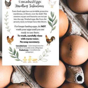 DESCARGA INSTANTÁNEA TARJETAS DE HUEVOS / Instrucciones de manejo / Huevos frescos de granja / Huevos lavados y sin lavar / Etiqueta para cartón de huevos / Pollitos lindos