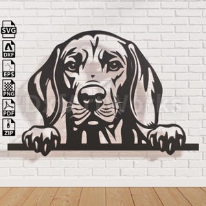 Archivo svg de perro VIZSLA para Cricut, clipart de perro, archivo de corte, retrato de arte vectorial, diseño de camiseta de vinilo, archivo dxf para láser.