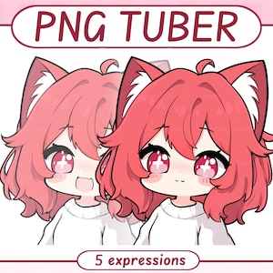 Puede incluir: Ilustración digital de un personaje de dibujos animados con pelo rosa, orejas de gato y ojos rojos grandes. El personaje lleva una camisa blanca. Se muestra el texto "PNG TUBER" y "5 expressions".