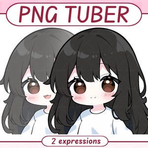 Può includere: Illustrazione digitale di due personaggi in stile anime con grandi occhi e lunghi capelli. Un personaggio ha i capelli grigi, l'altro ha i capelli neri. Entrambi indossano camicie bianche. Il testo "PNG TUBER" e "2 expressions" sono visualizzati.