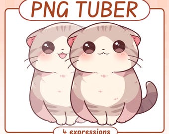 May include: Two cartoon cat illustrations with large eyes, pink cheeks, and gray and white fur. The text "PNG TUBER" is at the top, and "4 expressions" is at the bottom. The cats are in a cute, animated style.
