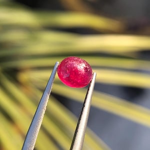 Ruby Cabochon Gemstone from Afghanistan – Vibrant Red Stone