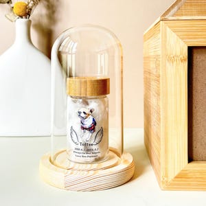 Custom Pet Urn, Pet Photo Urn, Pet Fur Keepsake, Pet Memorial, Pet Loss Gift