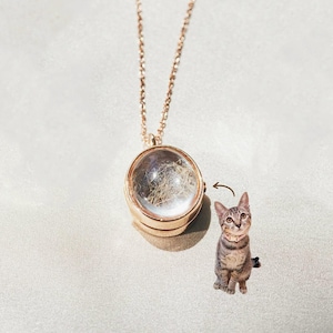 May include: A gold chain necklace with a clear glass locket containing pet fur. The locket is round and has a gold rim. A cat is pictured below the locket.