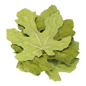 50 g torkade fikonblad - naturliga ingredienser för matlagning och välbefinnande