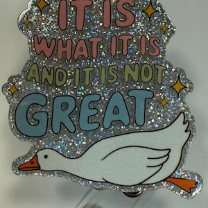 Silly Goose Het is wat het is en het is niet Geweldige badgehaspel - intrekbare badgehouder - sleutelkoord - karabijnhaak - grappig cadeau verpleegkundige