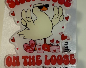Badgehaspel met grappige gans, haspel grappig, gansmagneet, verpleger