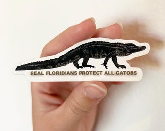 Florida Alligator Vinyl Sticker: Matte Finish, Hand-Drawn Art