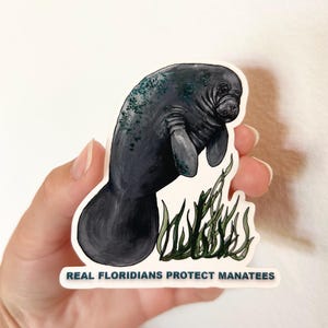 Manatee sticker
