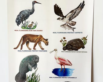 Everglades Symposium 7 Sticker Sheets