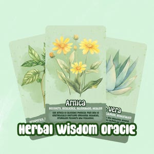 Herbal Wisdom Oracle – Um baralho de 32 cartas de cura, natureza e magia botânica