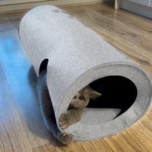 Könnte beinhalten: Ein grauer Katzentunnel aus weichem Stoff mit einer grauen Katze, die aus der Öffnung schaut. Der Tunnel befindet sich auf einem Holzboden.