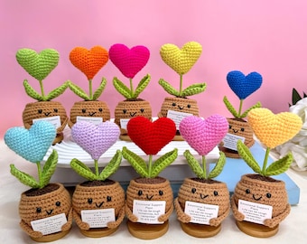 Sweetheart Emotional Support Gift Set-Handmade Crochet Flowers in Pot-multicolour/Red/Pink/ Rose heart-Handmade Hearts-Gift for her