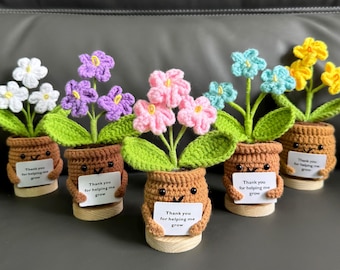 Nomeolvides de crochet, regalo de flores hecho a mano de apoyo emocional, regalo del Día de la Madre, regalo de cumpleaños, regalo de graduación, regalos para ella, flores de crochet