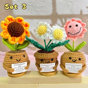 Nuevo set de regalo de apoyo emocional: flores de crochet hechas a mano en maceta (girasol/margarita), decoración de escritorio con flores de crochet, regalo para ella y para el Día de la Madre. Set 3