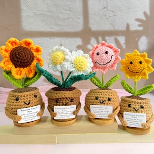 New Emotional Support Gift Set-Handmade Crochet Flowers in Pot-Sunflower/Daisy-Crochet Flower Desk Decor-Gift for her,Mother's Day Gift