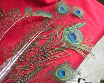 Real Peacock Feathers for Crafts and Sewing Supplies, Feather Jewelry and Home Decor, Cage Free Feathers from Happy Pet Peacocks
