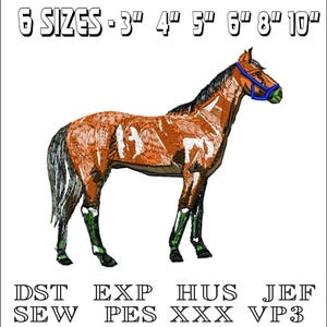 May include: Embroidered design of a brown horse with a blue halter. The design is available in six sizes: 3 inches, 4 inches, 5 inches, 6 inches, 8 inches, and 10 inches. The file formats included are DST, EXP, HUS, JEF, SEW, PES, XXX, and VP3.