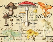 Mushroom Digital Collage Sheets: Vintage Botanical Ephemera (Digital Download)