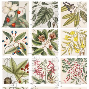12 Vintage Botanical 2.5" Square Images Digital Junk Journal Ephemera Scrapbook Antique Flowers Nature Traveler's Notebook