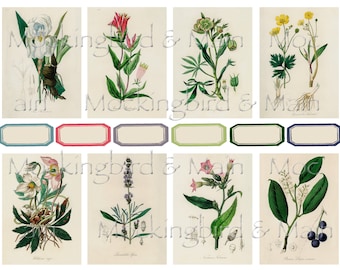 Vintage Botanical Journaling Cards Digital Floral Antique ATC 2.5" x 3.5" Junk Journal Ephemera Planner Flowers Nature Labels Set #2