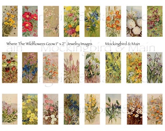 Wildflower Vintage Botanical Images 1" x 2" Collage Sheet Digital Jewelry Charm Domino Charm Bezel Junk Journal Embellishment Field Flowers