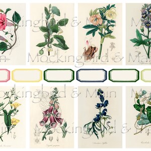 Vintage Botanical Journaling Cards Digital Floral ATC 2.5" x 3.5" Junk Journal Ephemera Planner Flowers Nature Labels Set #1