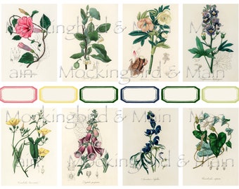 Vintage Botanical Journaling Cards: Floral Ephemera, Nature Labels (Digital Download)