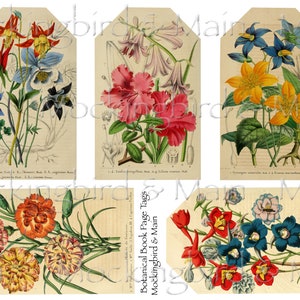 Large Vintage Botanical Floral Book Page Tags Digital Download Printable Antique Botanical Junk Journal Ephemera Nature Gift Tags Grungy