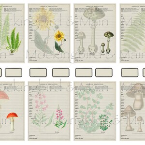 Woodland Walk Vintage Botanical Specimen Journaling Cards Digital Floral ATC 2.5" x 3.5" Junk Journal Ephemera Planner Flowers Nature Label