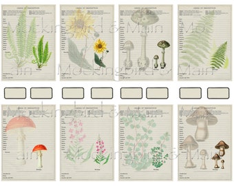 Vintage Botanical Journaling Cards: Woodland Floral Ephemera (Digital Download)