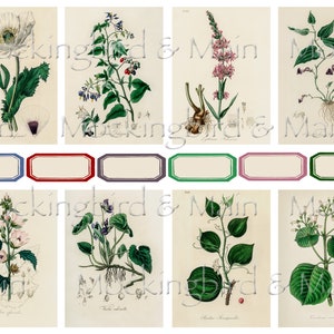 Vintage Botanical Journaling Cards Digital Floral Antique ATC 2.5" x 3.5" Junk Journal Ephemera Planner Flowers Nature Labels Set #3