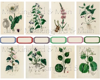 Vintage Botanical Journaling Cards: Antique Floral Ephemera (Digital Download)