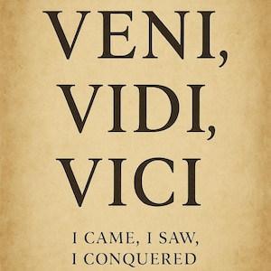 Veni Vidi Vici Poster: Latin Quote Art, Motivational Decor (Digital Download)