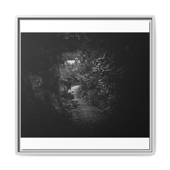 Forest Trail Framed Matte Canvas | Black and White Photography Wall Art