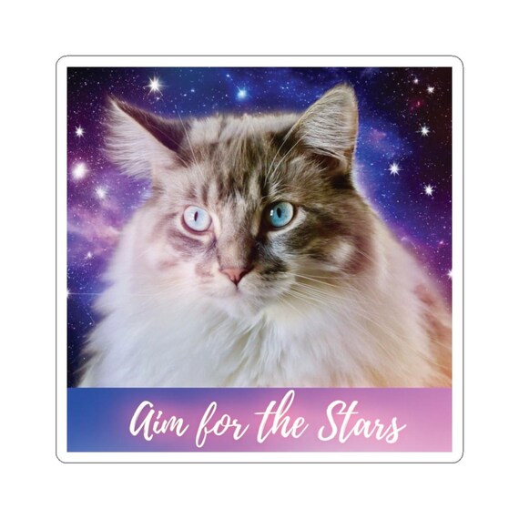Cosmic Cat Aim for the Stars Sticker | Kiss-Cut Sticker