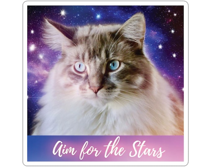 Cosmic Cat Aim for the Stars Sticker | Kiss-Cut Sticker