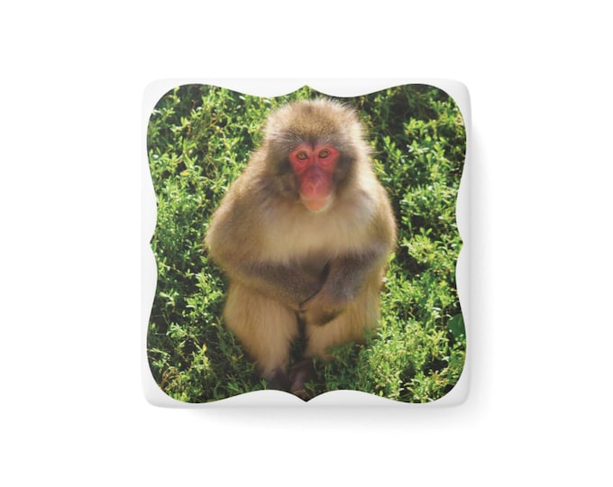 Japanese Macaque Monkey Porcelain Magnet | Snow Monkey Magnet