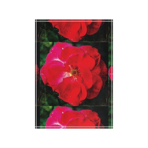 Red Rose Acrylic Photo Block | Floral Photography Art