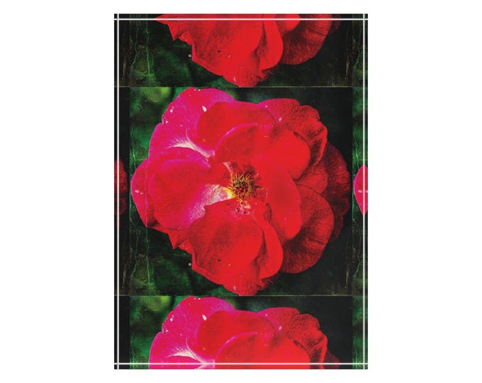 Red Rose Acrylic Photo Block | Floral Photography Art