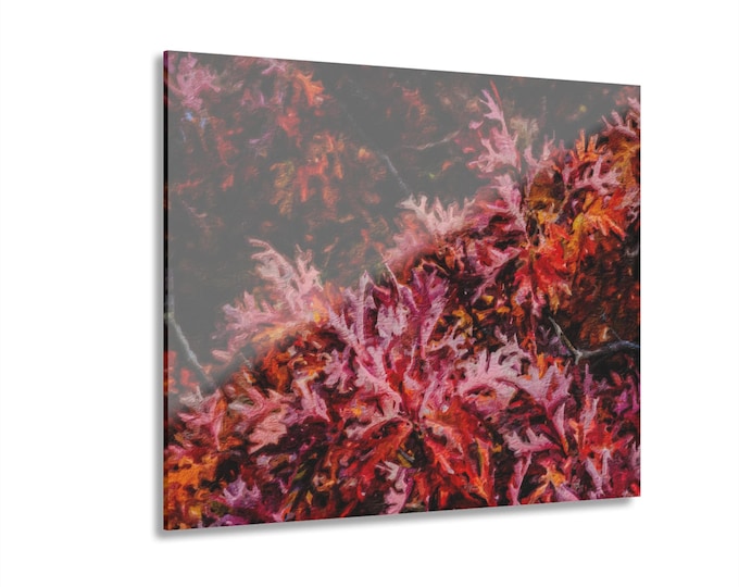 Autumn Leaves Acrylic Print | Wall Art