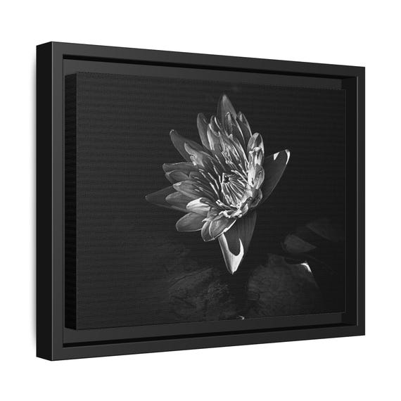 Lotus Flower Framed Canvas | Black & White Photography Floral Wall Art