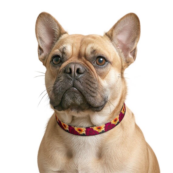 Floral Bouquet Clip-on Pet Collar
